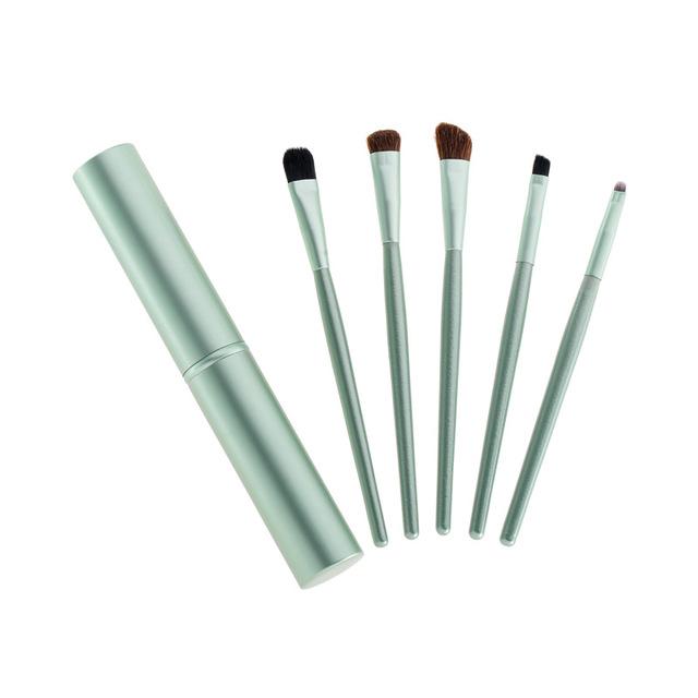 5pcs Travel  Makeup Brushes Set