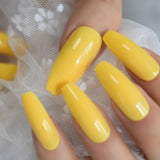 Celia Glossy Long Nails